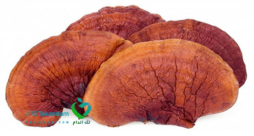 Ganoderma-and-weight-loss-speed