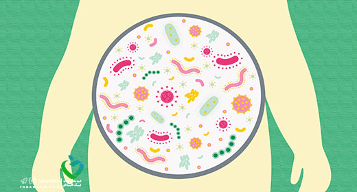 bloating-reasons-and-natural-treatment-gut-bacteria