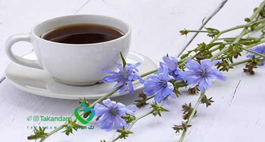 chicory-tea-benefits-flower
