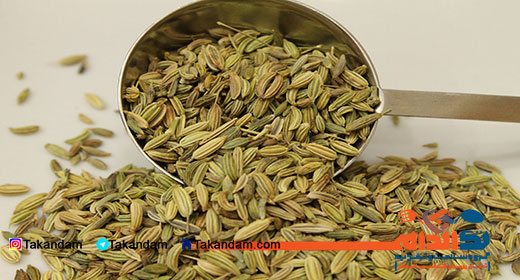 fennel-seeds-7