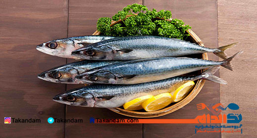 foods-you-have-to-eat-fatty-fish