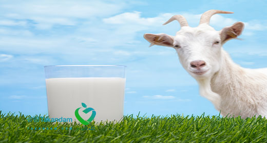 goat-milk-vs_-cow-milk-fresh