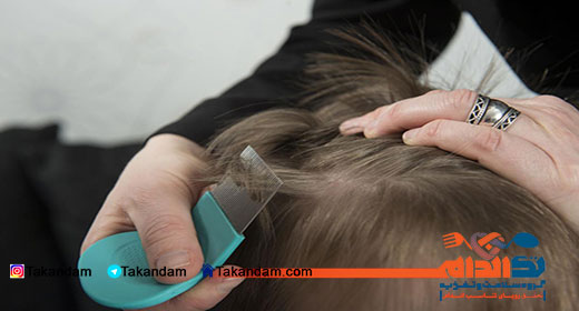 head-lice-essential-lice-comb