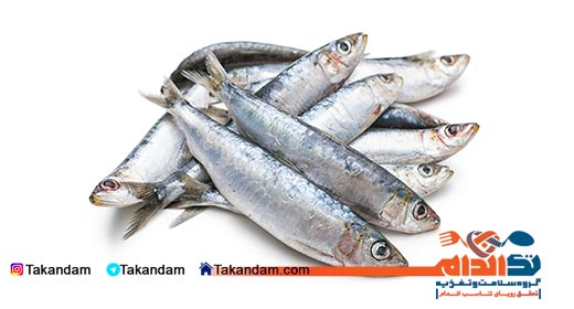 healthy-fishes-sardine