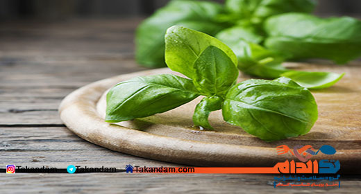 how-to-get-rid-of-kidney-stone-basil