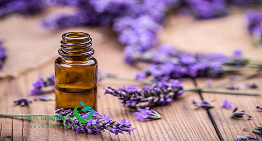 lavender-benefits-2