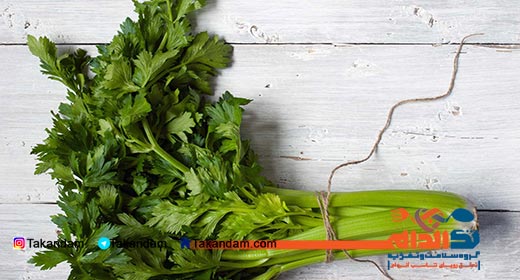 low-calorie-foods-celery