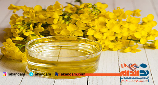 rapeseed-oil-benefits-2
