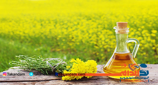 rapeseed-oil-benefits-4