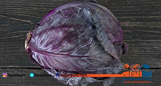 red-cabbage-benefits-3