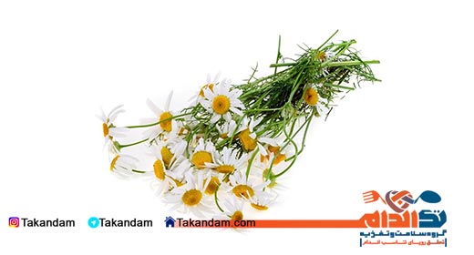 skin-issues-traditional-medicine-chamomile