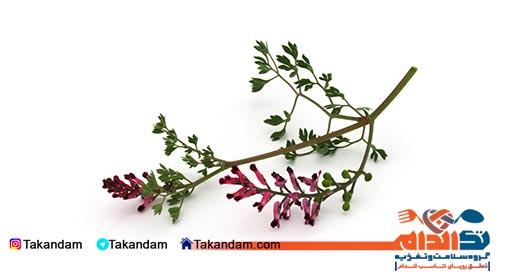 skin-issues-traditional-medicine-fumitory