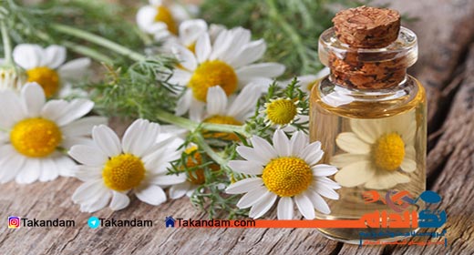 traditional-weight-loss-chamomile