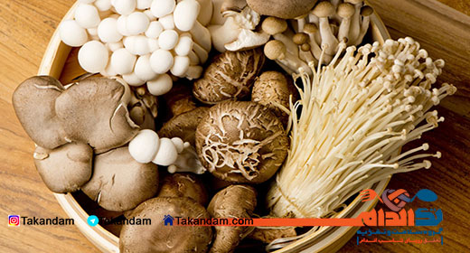 vitamin-B2-resources-mushrooms