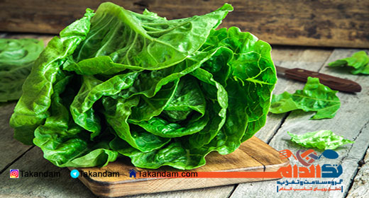 vitamins-and-mineral-effect-lettuce