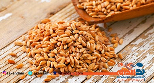 celiac-introduction-grains