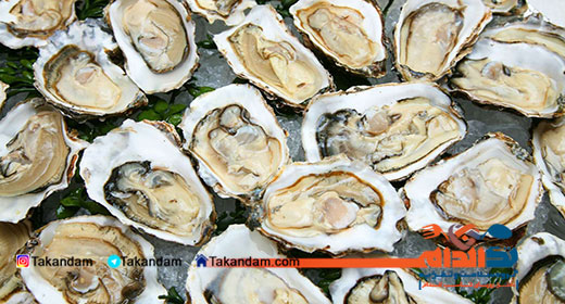 diet-for-anemia-oysters