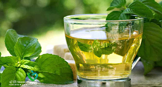 Boldo-Essential-oils-benefits-5