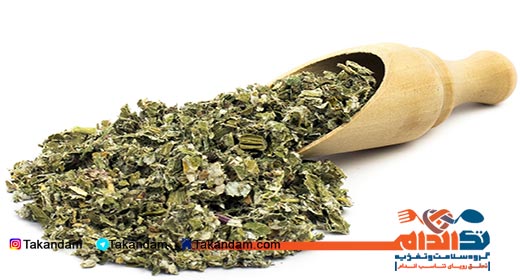 Fraxinus-excelsior-tea