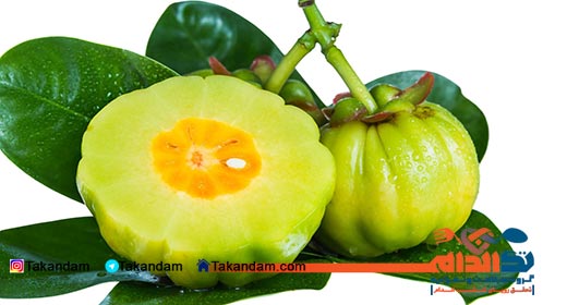 Garcinia-Cambogia-and-weight-loss-2
