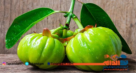 Garcinia-Cambogia-and-weight-loss-4