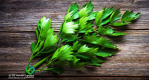 Quercetin-natural-benefits-red-lovage