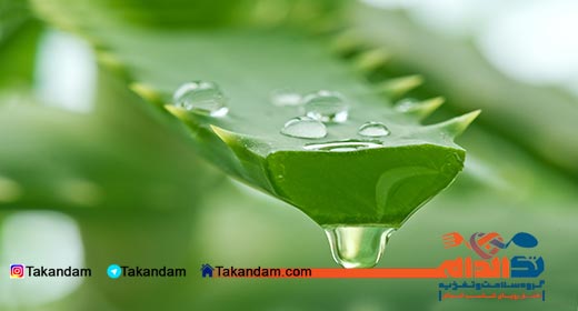 aloe-vera-benefits-chopped