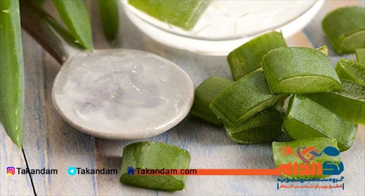 aloe-vera-benefits-jelly