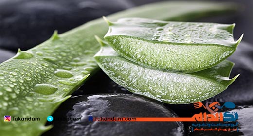 aloe-vera-benefits-psoriasis