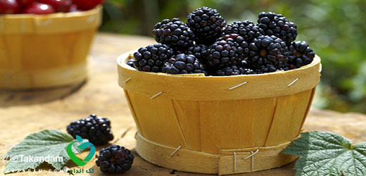 antioxidan-food2