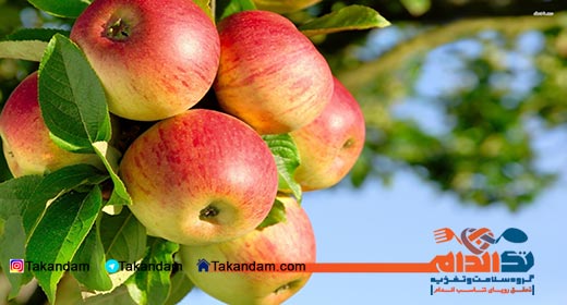 جدول ارزش غذایی