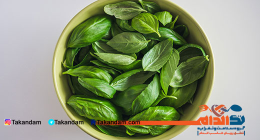 basil-benefits-4