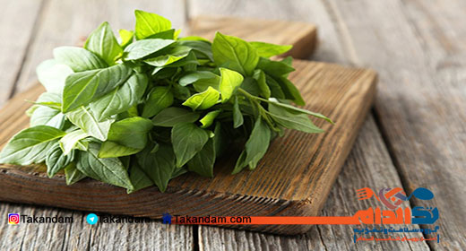 basil-benefits-5