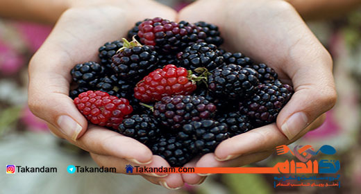 blackberry-benefits-3