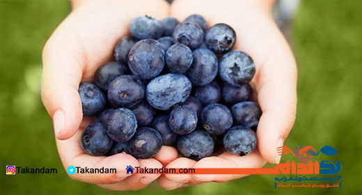 blueberry-benefits-4