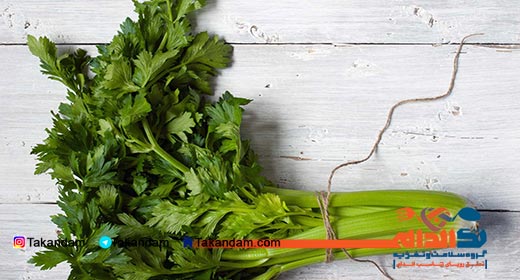 breastfeeding-food-necessity-celery
