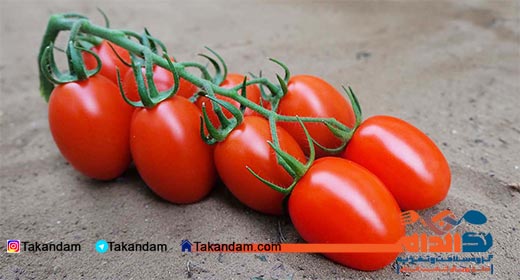brighter-skin-nutrition-tomato