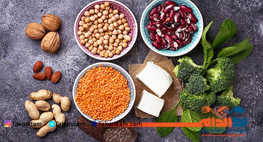 building-muscle-being-vegetarian-protein