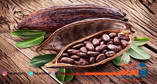 chocolate-effect-on-brain-coca-seeds