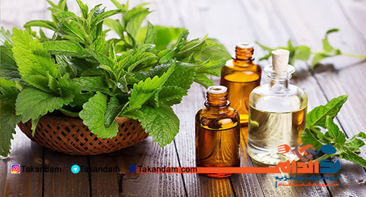 cold-treatments-and-prevention-extract