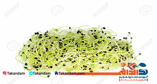 جدول ارزش غذایی