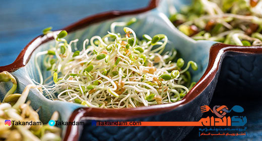 sprouts germs