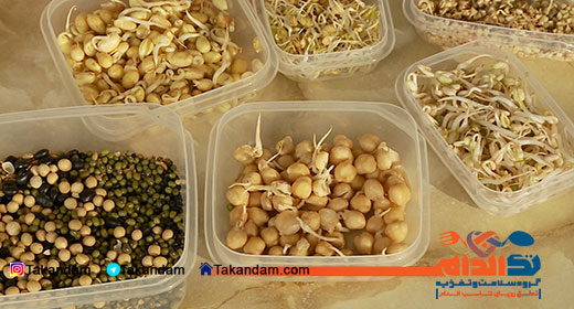 different-sprouts-benefits