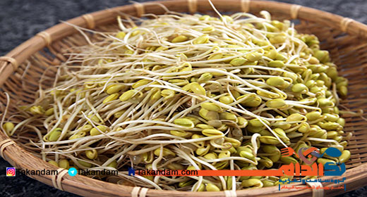 جدول ارزش غذایی