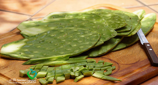 edible-cactus-benefits-for-health-1