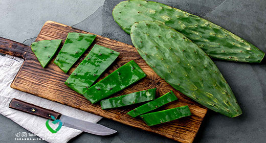 edible-cactus-benefits-for-health-3