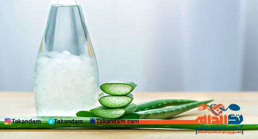eliminating-stretch-marks-on-body-aloe-vera