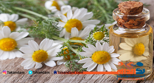 essential-oil-benefits-chamomile