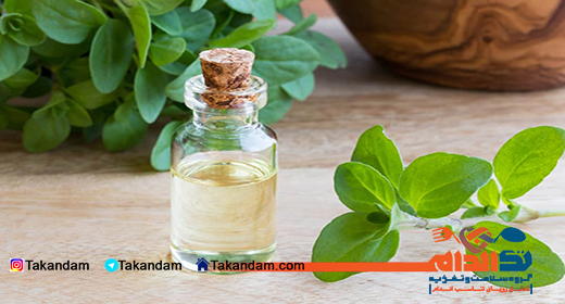 essential-oil-benefits-marjoram