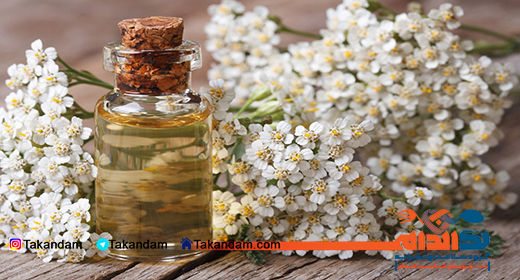 essential-oil-benefits-yarrow